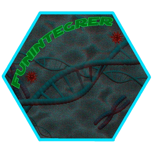 FunIntegreR Logo