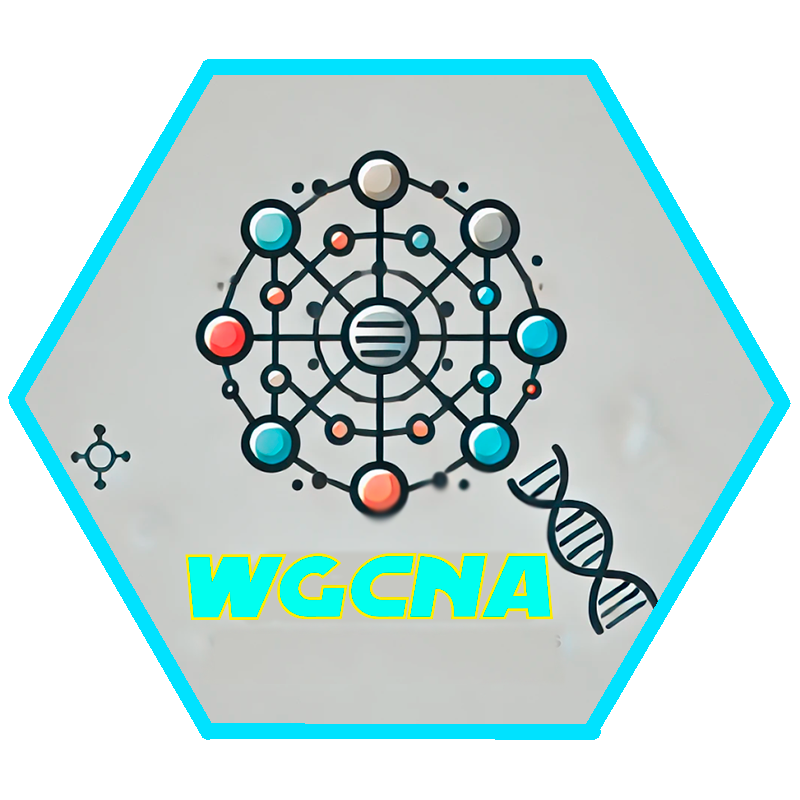 NetRapp Logo